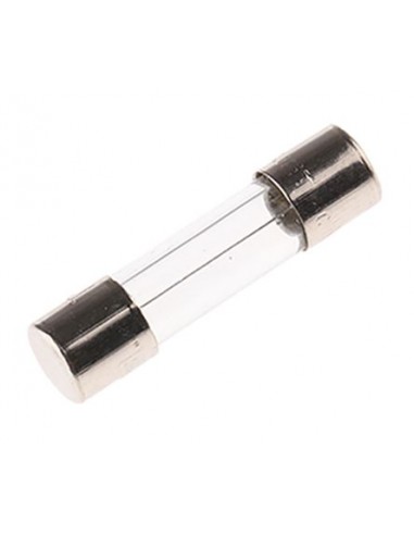 FUSIBLE EN VERRE 5X20 4A